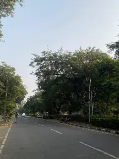 Panjab University Chandigarh Campus photo 18